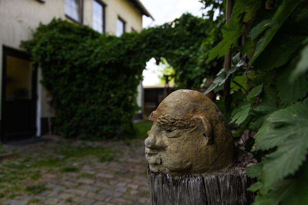 Pension Altstadt Borna Kültér fotó