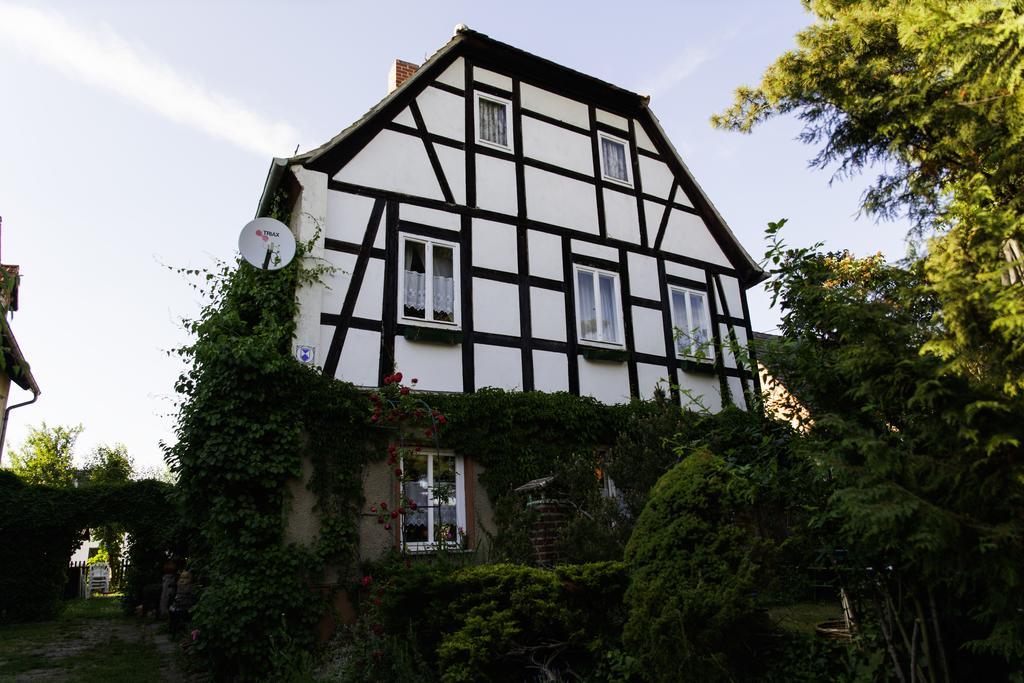 Pension Altstadt Borna Kültér fotó