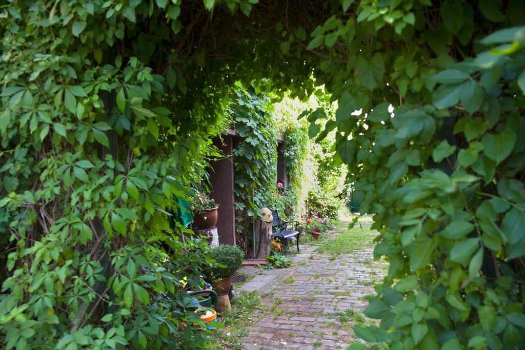 Pension Altstadt Borna Kültér fotó