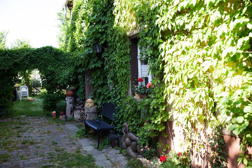 Pension Altstadt Borna Kültér fotó