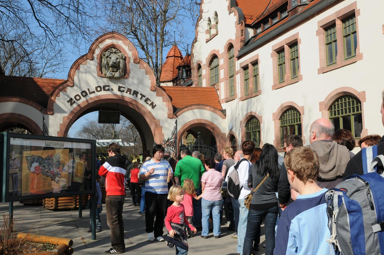 Pension Altstadt Borna Kültér fotó