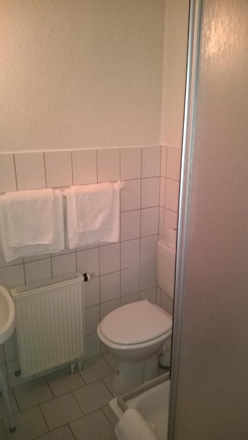 Pension Altstadt Borna Kültér fotó